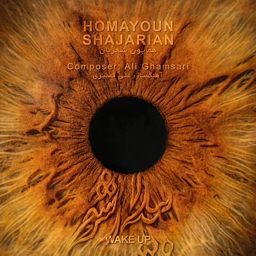 Cover artwork for Bidar Sho by Homayoun Shajarian